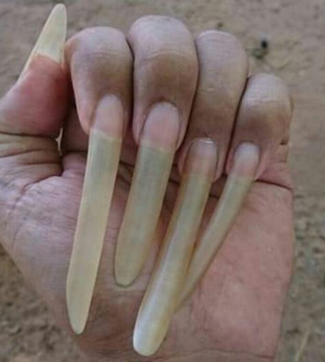 Cute Stilleto Nails, Super Long Nails, Extremely Long Nails, Long Natural Nails, Curved Nails, Natural Nails, Long Nails, Braids, Nails