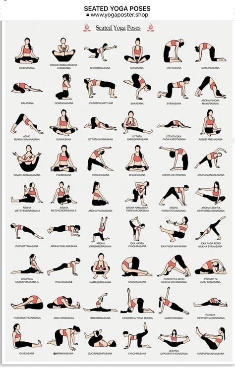 Stomach Yoga, Seated Yoga, Seated Yoga Poses, Hata Yoga, Fertility Yoga, Poses For Beginners, Yoga Poses Advanced, Poses Couple, Beginners Yoga