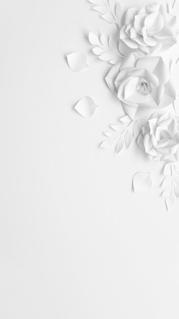 White Flower Background, White Template, White Paper Flowers, Wedding Card Frames, Wedding Invitation Background, New Wallpaper Iphone, Pink Flowers Wallpaper, Photo Frame Wallpaper, Floral Cards Design