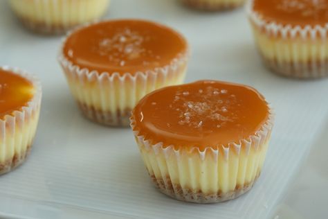 Bite-Size Salted Caramel Cheesecakes | Philadelphia | Recipes - Heinz® Cheesecake Treats, Caramel Cheesecake Bites, Philadelphia Cream Cheese Recipes, Mini Recipes, Cheesecake Caramel, Mini Meatloaves, Mini Dessert Recipes, Tin Recipes, Mini Cheesecake Recipes