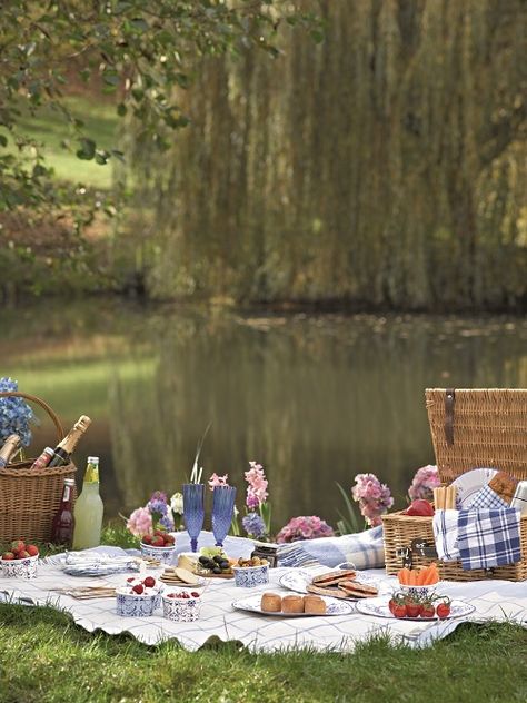 New Years Dinner Party, Picnic Shoot, French Picnic, Blue Picnic, Picnic Inspo, Aesthetic Picnic, Picnic Day, Birthday Picnic, Picnic Hamper