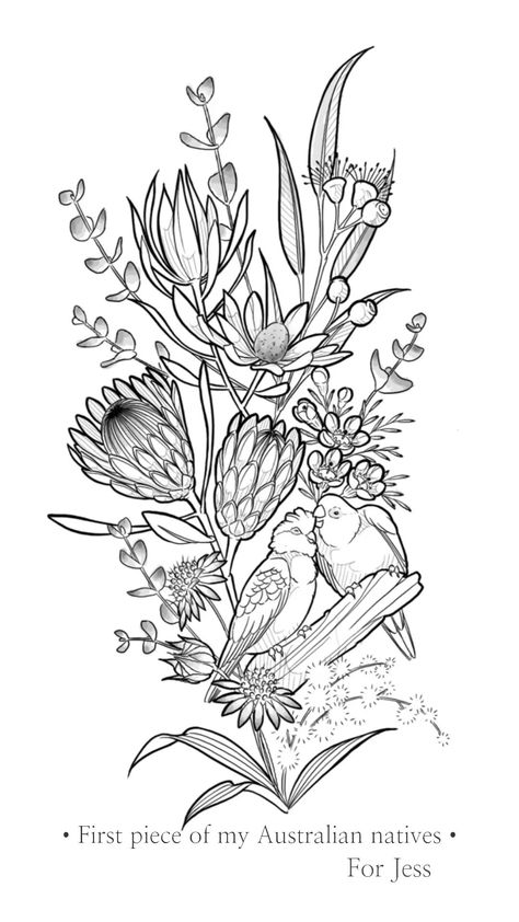 Aus Native Flower Tattoo, Australian Plants Drawing, Australian Inspired Tattoos, Native Australian Tattoo, Native Flowers Tattoo, Australian Flora Tattoo, Australian Native Flowers Tattoo, Australian Native Flowers Illustration, Australian Flower Tattoo