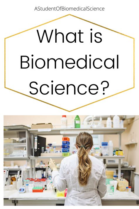 A blogpost explaining what biomedical science is. Biomedical Scientist, Scientific Writing, Pathology Lab, Biomedical Science, Science Degree, Health Careers, Research Lab, Medical Science, Biochemistry