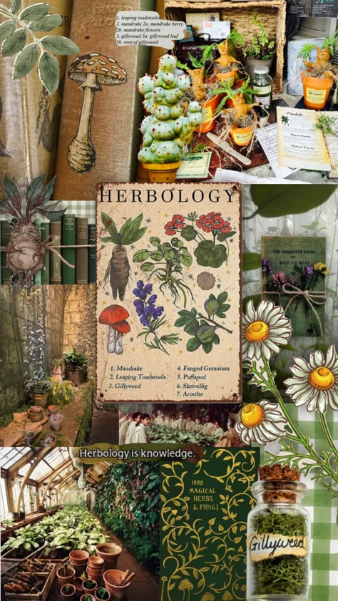 #herbology #botany #plants #harrypotter Herbology Wallpaper Aesthetic, Vintage Botany Aesthetic, Botany Aesthetic Wallpaper, Herbology Aesthetic Wallpaper, Botany Classroom, Herbalist Wallpaper, Hogwarts Herbology Aesthetic, Horticulturist Aesthetic, Plant Science Aesthetic