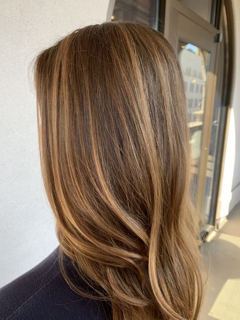 Caramel Brown Hair, Rambut Brunette, Honey Brown Hair, Brown Hair Inspo, Brunette Hair With Highlights, Brown Hair With Blonde Highlights, Caramel Hair, Honey Blonde Hair, Caramel Highlights