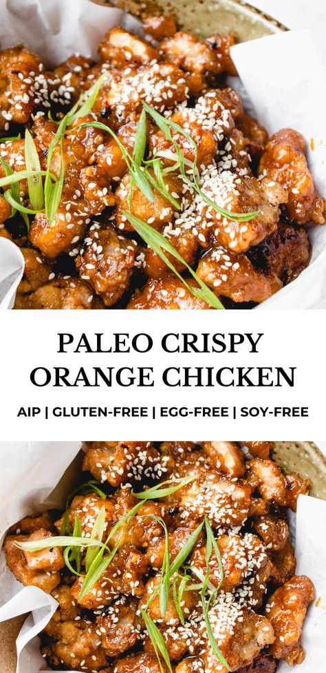 Paleo Korean Chicken, Aip Chicken Pho, Paleo Chicken Gravy, No Eggs No Dairy Recipes, Aip Roast Beef, Simple Aip Breakfast, Paleo Chicken Fried Rice, Aip Marinades For Chicken, Dairy Free And Soy Free Recipes