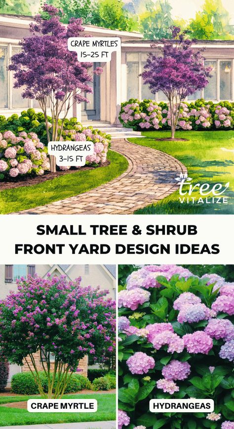 Easy Bushes For Front Of House, Landscape Under Window Front Yards, Front Yard Landscaping Design Curb Appeal, Tree Landscaping Ideas Front Yard, Front Yard Tree Ideas, Big Garden Design, Front Yard Tree Landscaping, Bushes In Front Of House, Front Yard Design Ideas