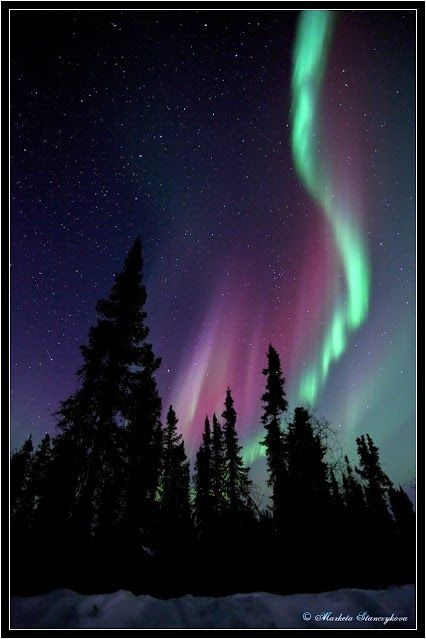 Northern Lights Art, Lights Painting, Northern Lights Photography, Northern Lights Painting, Fairbanks Alaska, Northern Lights (aurora Borealis), Aurora Borealis Northern Lights, Northern Light, Beautiful Landscape Photography