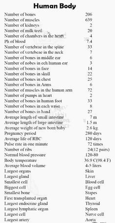 Medical Knowledge Tips, Anatomy Of The Human Body Biology, Human Body Knowledge, Basic Doctor Knowledge, Science Basics Knowledge, Basics Of Biology, Basic Biology Knowledge, General Knowledge Science, How To Learn Long Answers Like A Pro