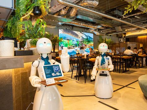 Robot Cafe Tokyo, Japan Robot Restaurant, Tokyo Technology, Robotic Restaurant, Tokyo Moodboard, Shark Tank Ideas, Robotics Aesthetic, Japan Presentation, Robot Restaurant Tokyo