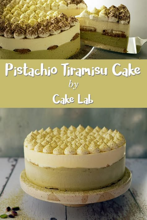 Pistachio Delight, Pistachio Tiramisu, Pistachio Dessert, Patisserie Fine, Pistachio Recipes, Pistachio Cake, Tiramisu Cake, Tiramisu Recipe, Savory Cakes