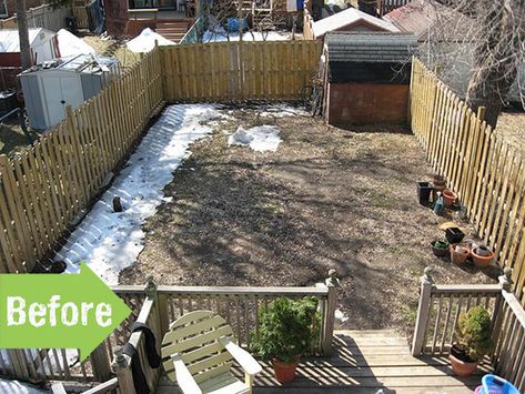 before Yard Before And After, Backyard Cottage, Pretty Cottage, Garden Makeover, Diy Backyard Landscaping, Garden Images, Fire Pit Backyard, Perfect Plants, Plant Roots