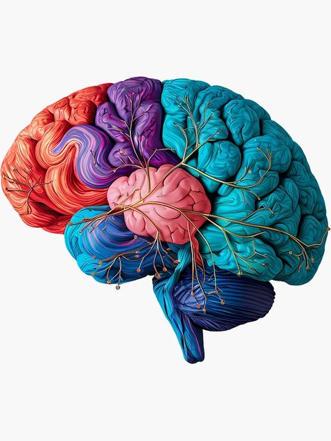 " - Digital Brain Artwork Artistic Brain Illustration - Colorful Cognitive Science Art" Sticker for Sale by WatermelonPink | Redbubble Brain Digital Art, Brain Illustration Art, Brain Aesthetic, Brain Artwork, Brain Pictures, Brain Painting, Brain Design, Brain Poster, Brain Graphic