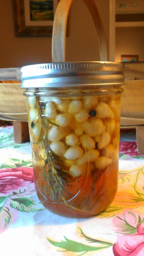 Wild Onions Recipes, Garden Meals, Wild Onion, Kitchen Witchcraft, Wild Onions, Canning Jam, Foraging Recipes, So Hungry, Meatless Recipes