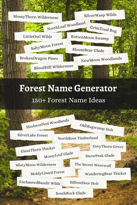 Use this magical forest name generator or create your own forest name with our fun technique. Explore over 150 forest name ideas. Fantasy Places Names Ideas, Forest Related Names, City Names Aesthetic, Trail Names Ideas, Fantasy Village Names Ideas, Fantasy Place Name Generator, Fantasy Forest Names Ideas, Magical Names For Places, Forest Names Nature