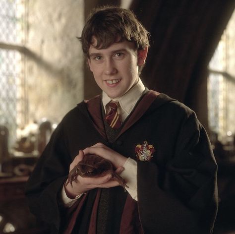 Harry Potter Neville, Professor Flitwick, Hogwarts Robes, Matt Lewis, Grimm Tv Series, Grimm Tv, Slytherin Ravenclaw, Funny Weather, Ravenclaw Hufflepuff