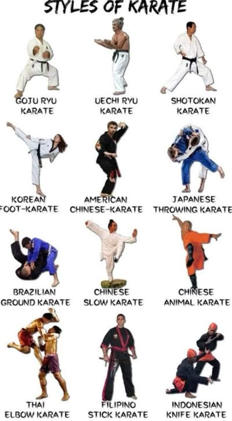 Karate Training Exercises, Mma Training Workouts, Karate Poses, Martial Arts Fashion, Japanese Karate, Karate Styles, Karate Moves, Martial Arts Forms, Martial Arts Moves