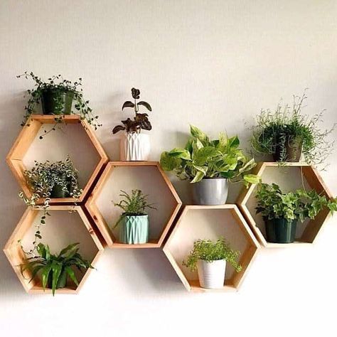 Honeycomb Shelves, Geometric Shelves, نباتات منزلية, Hexagon Shelves, Diy Wand, Plant Decor Indoor, Estantes Flotantes, House Plants Decor, Cute Room Decor