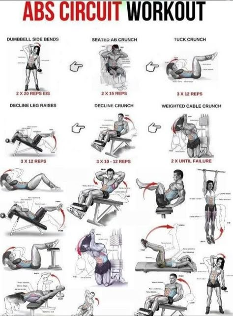 Abs Circuit Workout, Abs Workout V Cut, Ab Circuit Workout, Abs Gym Workout, Abs Circuit, Workout Program Gym, Workout Pics, Evening Workout, Gym Workout Planner