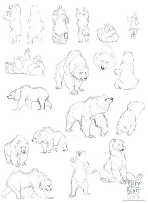 Polar Bear Drawing, Bear Sketch, Urs Polar, Animal Drawings Sketches, Nature Sketch, Bear Drawing, Animal Study, Drawing Animals, Animal Anatomy