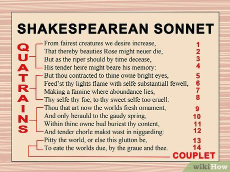 Sonnet Poems, Shakespearean Sonnet, Shakespeare's Sonnets, Iambic Pentameter, Shakespeare Sonnets, Literature Lessons, Lyric Poem, Sensory Details, Rhyme Scheme