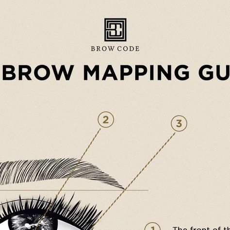 Brow Code Professional on Instagram: "The guide to mapping out FLAWLESS brows every 👏🏼 single 👏🏼 time 👏🏼⁠ ⁠ Our Charcoal Brow Mapping Thread is the perfect brow accessory to use to sculpt your clients dream brows 🖤⁠ ⁠ Share this with your Pro BFF's 📣⁠ ⁠ 🛒 browcode.com" Brow Code, Brow Mapping, Perfect Brow, Perfect Brows, Skincare And Makeup, Fashion Makeup, Beautiful People, Beauty Tips, Face Makeup