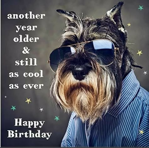 Happy Birthday Men Male, Black Male Birthday, Happy Birthday Humor Hilarious, Happy Birthday Male Friend, Happy Birthday Funny Humorous, Funny Happy Birthday Images, Happy Birthday Wishes Pics, Birthday Wishes Pics, Birthday Man