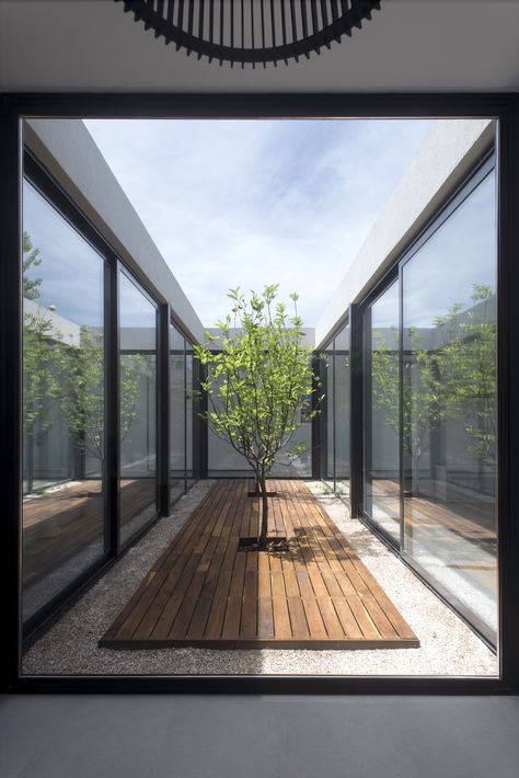 Image 3 of 28 from gallery of House 2LH / Luciano Kruk. Courtesy of Luciano Kruk Atrium House, Indoor Courtyard, Courtyard Design, Internal Courtyard, Glass Walls, Patio Interior, Have Inspiration, Container House Design, Courtyard House