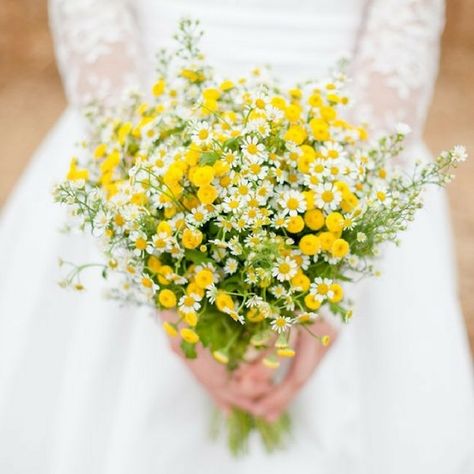 Pretty and Practical: 20 Small Wedding Bouquets that You'll Love | OneFabDay.com Ireland Yellow Wedding Colors, Yellow Wedding Bouquet, Bouquet Champetre, Small Wedding Bouquets, Wedding Flowers Wildflowers, Deco Champetre, Yellow Bouquets, Yellow Wedding Flowers, Daisy Bouquet