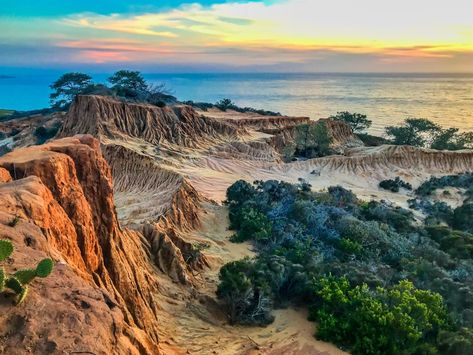 What To Do In La Jolla, California: One of San Diego’s Can't-Miss Beach Cities 1 San Diego Activities, San Diego Attractions, California Places To Visit, San Diego Trip, State Park Camping, San Diego City, San Diego Vacation, California Life, Visit San Diego