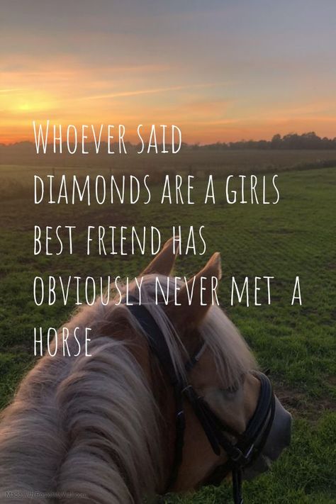 Cute Wallpapers Horse, Horse Sayings Quotes, Horse Girl Quotes, Horse Love Quotes, Horses Aesthetics, Cute Horse Quotes, Aesthetic Horse Riding, Windsong Ranch, Horses Aesthetic