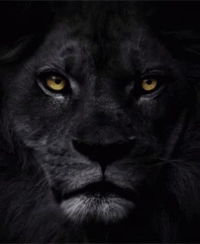 Lion Protector GIF - Lion Protector - Discover & Share GIFs Lion Gif, Lion King Of The Jungle, Cats Gif, King Pictures, Lion King Pictures, All Continents, Black Lion, Lion Images, Framed Photo Collage