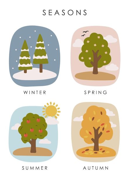 Seasons For Kids, Kindergarten Illustration, Seasons Illustration, Seasons Kindergarten, Seasons Chart, Kindergarten Posters, Kindergarten Portfolio, Homeschool Preschool Activities, English Activities For Kids