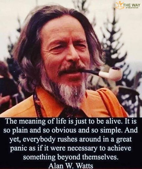 Allen Watts Quotes, Allen Watts, Understand Quotes, Allan Watts, Satisfaction Quotes, Every Day Quotes, Alan Watts Quotes, Alan Watts, Spirit Science