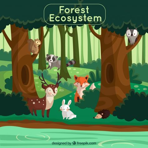 Forest ecosystem concept with lovely ani... | Free Vector #Freepik #freevector #tree #design #green #nature Bio Project, Jungle Animals Party, Woodland Forest Animals, Nursery Safari, Forest Ecosystem, Farm Landscape, Illustration Animals, Forest Nursery, Safari Animal Prints