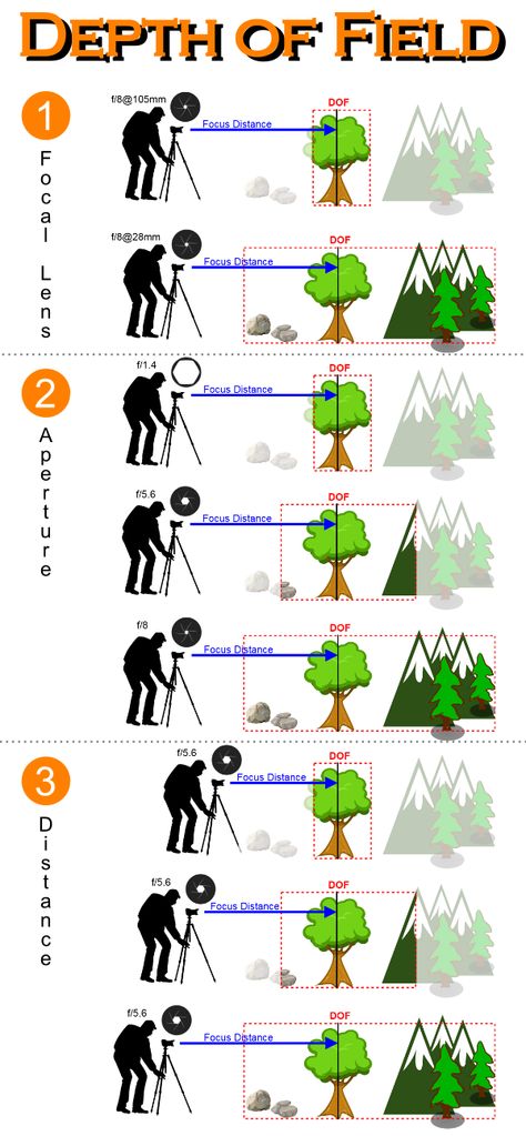 Controlling the Depth of field -  dof, focal, aperture, f-stop, distance, control Photo Cheat Sheet, Aperture Depth Of Field, Aperture And Shutter Speed, Tv Cabinet Design, Cabinet Designs, Depth Of Field, Focal Length, Cheat Sheet, Tv Cabinet