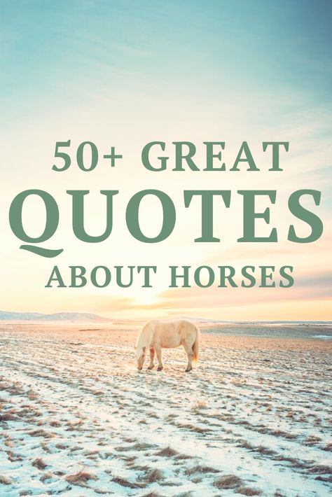 Horse Poems Beautiful, Horse Sympathy Quotes, Special Horse Quotes, Pony Quotes Cute, Mare Horse Quotes, Horse Trainer Quotes, Horse Memorial Quotes, Best Horse Quotes, Quotes About Horse Riding