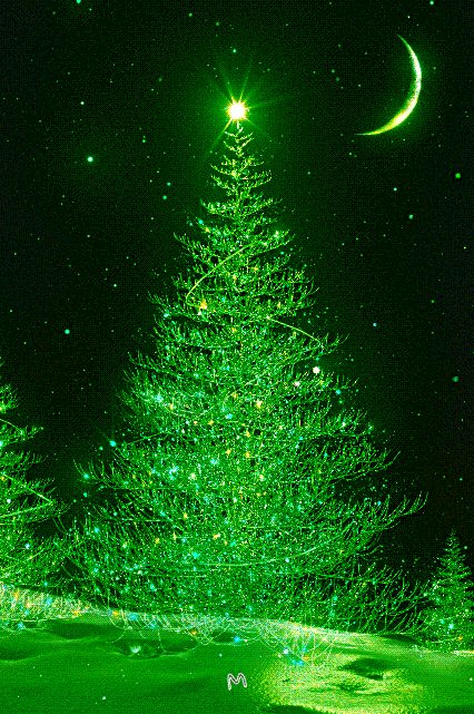 Christmas Tree Gif, Animated Christmas Tree, Winter Christmas Scenes, Christmas Wallpaper Free, Beautiful Christmas Scenes, Christmas Tree Pictures, Christmas Tree Wallpaper, Merry Christmas Gif, Merry Christmas Wallpaper