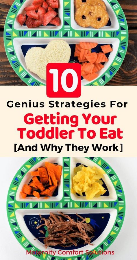 12 Month Old Picky Eater, Meals For One Year Old Picky Eaters, Lunches For Picky Toddlers, Healthy Food For Picky Toddlers, Easy Food For Picky Eaters, Creative Toddler Meals, Picky One Year Old Meals, Realistic Toddler Meals, How To Get Picky Eaters To Eat Healthy