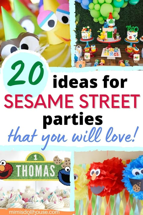 Sesame Street Birthday Party Favor Ideas, Sesame Street Diy Party Ideas, Sesame Street Elmo Birthday Party Ideas, Diy Sesame Street Birthday, Sesame Street Color Palette, Sesame Street Birthday Party Boy, Two Year Old Elmo Birthday Party, Big Bird Birthday Party, Sesame Street Birthday Activities