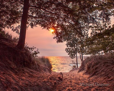 Lake Michigan Aesthetic, Photography Instagram Feed, 2023 Plans, Gang Love, Michigan Travel Destinations, Things To Do In Wisconsin, Michigan Cottage, Saugatuck Michigan, Michigan Summer