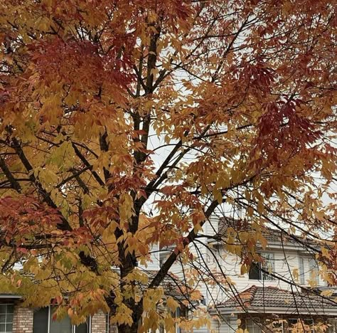 Autumn Leaves Falling, Gilmore Girls Seasons, Leaves Falling, Fall Mood Board, Fall Mood, All Too Well, Season Of The Witch, Fall Inspo, I Love Fall