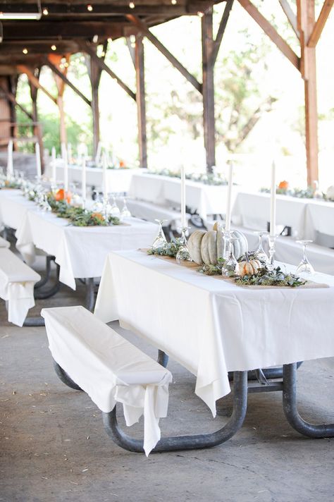 campground reception - photo by Jenny Smith and Co http://ruffledblog.com/pumpkin-themed-fall-wedding Picnic Table Wedding, Pavilion Wedding Reception, Pavillion Wedding, Wedding Reception Themes, Jenny Smith, Campground Wedding, Picnic Table Bench, Fall Picnic, Pavilion Wedding