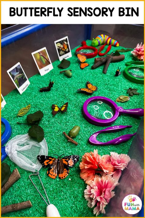 This butterfly sensory bin is an ideal sensory play activity for kids during spring! Learn and explore all about butterflies and life cycle Butterfly Sensory Table, Butterfly Life Cycle Sensory Bin, Butterfly Provocations Kindergarten, Insects Sensory Bin, Bugs Activity For Preschool, Life Cycle Of Butterfly Activities, Butterfly Sensory Play, Butterfly Sensory Activities, Butterfly Toddler Activities