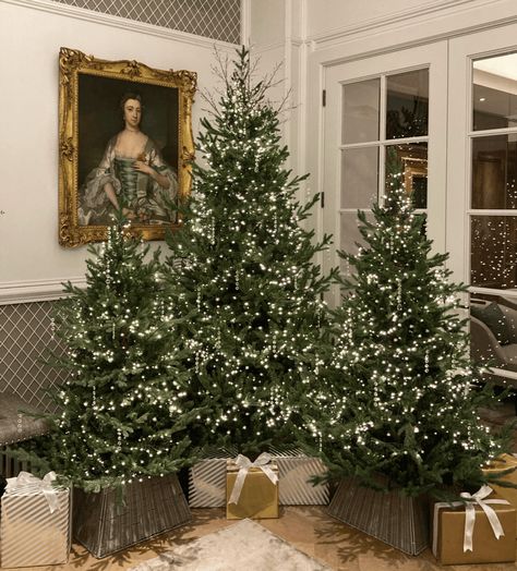 Christmas Tree Decorating Ideas   Trends for 2024 Blue Spruce Tree, Christmas Tree Forest, Christmas Tree Inspo, Silver Christmas Ornaments, Christmas Tree Decorating Ideas, Tree Decorating Ideas, Spruce Tree, Christmas Interiors, Christmas Tree Decorating