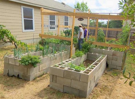 Cinder Block Raised Garden Bed Ideas, Breeze Block Planters Raised Garden Beds, Raised Garden Bed Cinder Block, Cinder Block Planter Boxes, Raised Garden Beds Concrete Blocks, Landscaping With Cinder Blocks, Cinder Block And Wood Raised Garden Bed, Cinderblock Garden Bed, Cement Block Garden Bed