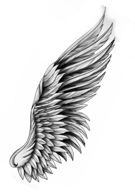 Egal Wings Tattoo, Wings With Eyes Tattoo, Eagle Wings Tattoo Design, Eagle Wings Tattoo, Angel Wings Tattoo Stencil, Chest Tattoo Writing, Wing Tattoo Arm, Wings Tattoo Design, Eagle Wing Tattoos