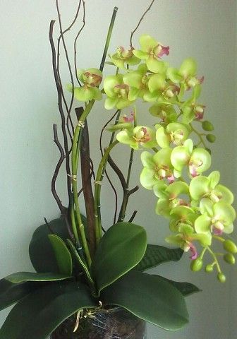 | OK.RU Orchid Flower Arrangements, Orchid Centerpieces, Green Orchid, Growing Orchids, Orchids Garden, Artificial Orchids, Orchid Arrangements, Flower Arrangements Simple, Orchid Care