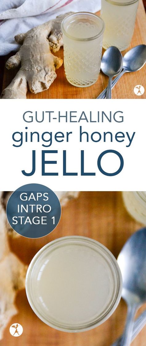 Gut Healing Ginger Honey Jello :: GAPS Intro Stage 1 Gaps Intro Diet, Gaps Intro, Gaps Diet Recipes, Jello Gelatin, Gaps Recipes, Ginger Honey, Gelatin Recipes, Gut Healing Recipes, Anti Inflammation Recipes