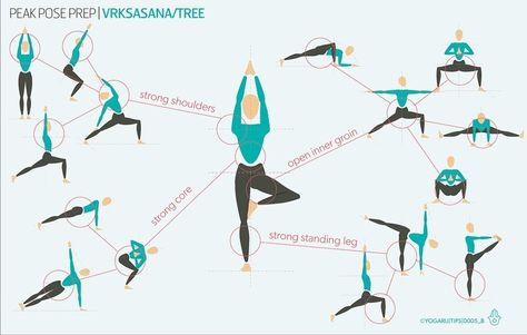 Hata Yoga, Yoga Tree Pose, Yoga Sequencing, Yoga Tree, Yoga Teaching, Yoga Flows, Yoga Anatomy, Flow Yoga, Vinyasa Flow